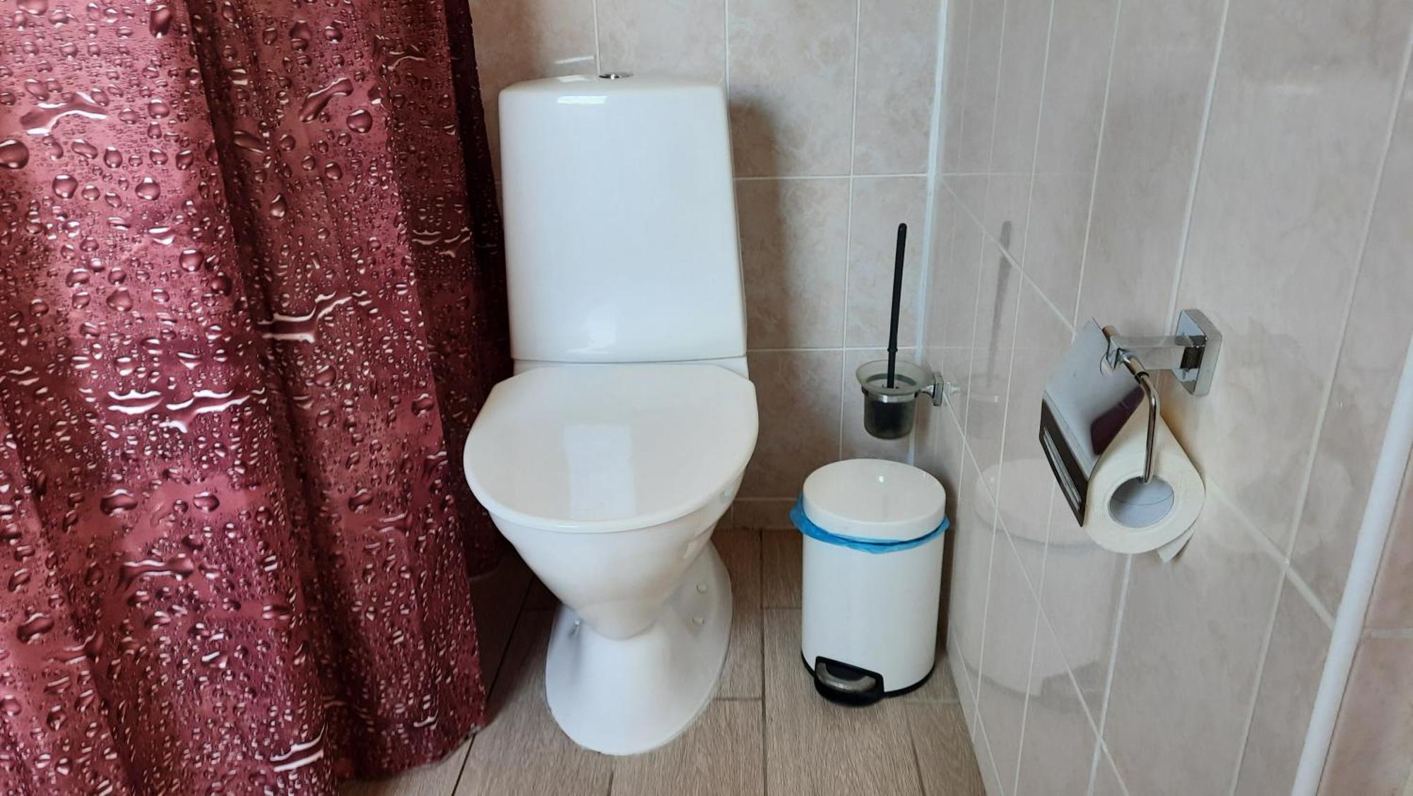 Willipu Guesthouse Alatskivi Kültér fotó